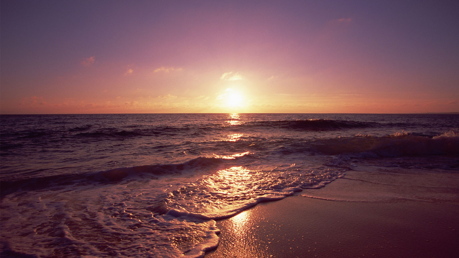 事業紹介ヘッダー